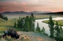 The Ultimate Guide: When is the Best Time to Visit Yellowstone National Park?