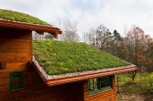 The Environmental Benefits of Living Roofs: A Sustainable Solution